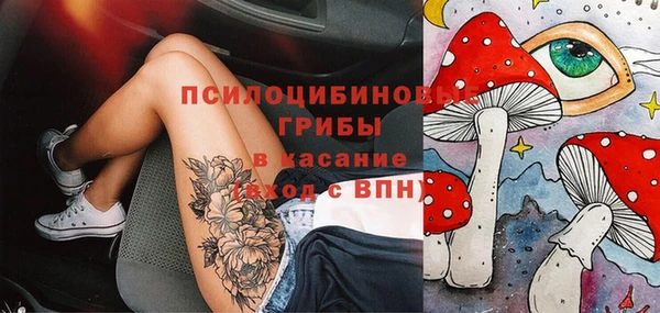 бошки Богородск