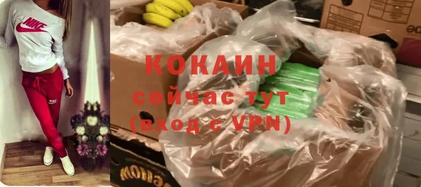 соль курить ск Белокуриха