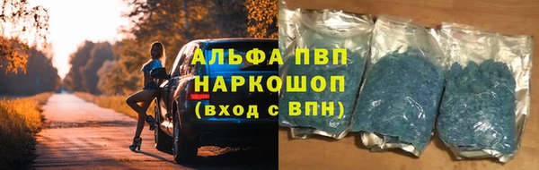 трава Сатка